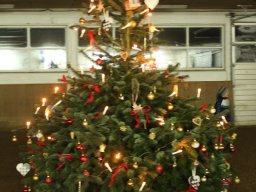 IMG_7893-2_web